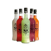 terminal3 terminal 3 טרמינל 3 ערק דודו arak dudu Sticker