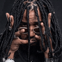 Djkingbr GIF