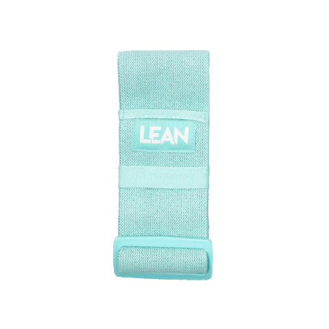 leanwithlilly giphyupload lets do this lean lilly Sticker