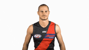 essendonfc dons bombers essendon essendon fc GIF