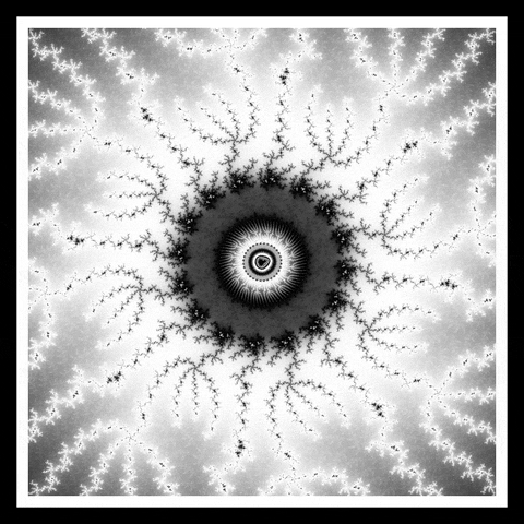 Art Loop GIF by xponentialdesign