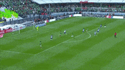 el tri selecciÃ³n mexicana GIF by MiSelecciónMX