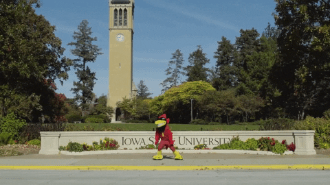 ISUFoundation giphyupload excited college mascot GIF