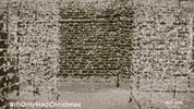 Excited Candace Cameron Bure GIF by Hallmark Channel