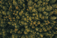 GIF by Hughston Homes