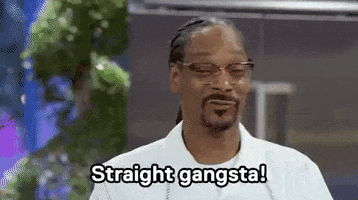 Snoop Dogg Gangsta GIF by MOODMAN