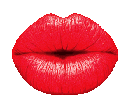 Kamile Sticker by Camille Beaute