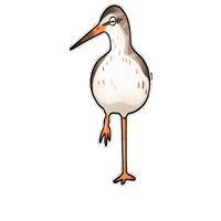 Wader Sticker
