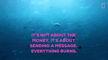 Ocean Turtle GIF by plusQA_test_partner