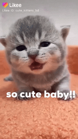 So-cute-baby GIFs - Get the best GIF on GIPHY