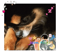 Good Night Jg Sticker