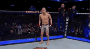 ufc 223 sport GIF by UFC