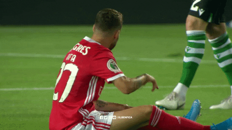 Sl Benfica Rafa GIF by Sport Lisboa e Benfica
