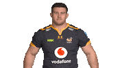 Rugby Sticker by Wasps