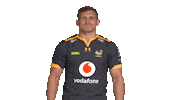 Rugby Sticker by Wasps