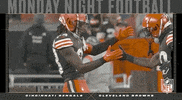 Cleveland Browns Football GIF by NFL