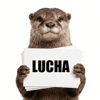 Nutria GIF by ecoembes