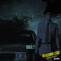 Season 1 Showtime GIF by On Becoming A God in Central Florida