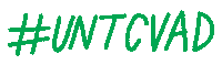 North Texas Denton Sticker by megan lockhart