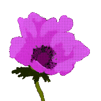 Spring Pink Flower Sticker