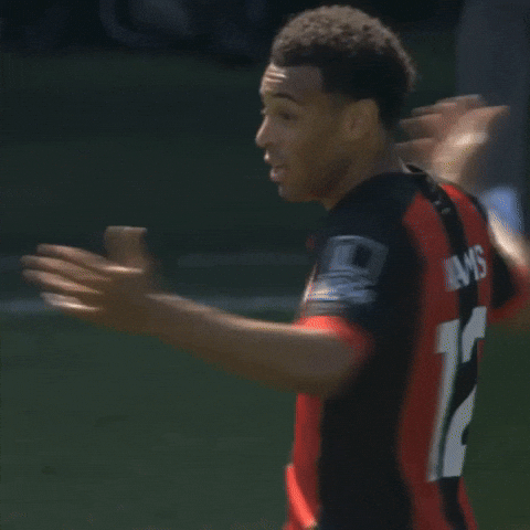 Premier League Shrug GIF by AFC Bournemouth