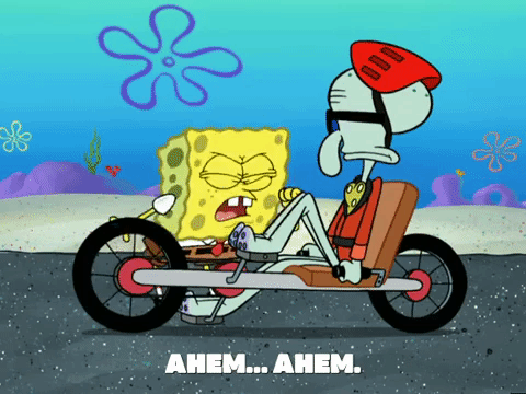 season 6 porous pockets GIF by SpongeBob SquarePants