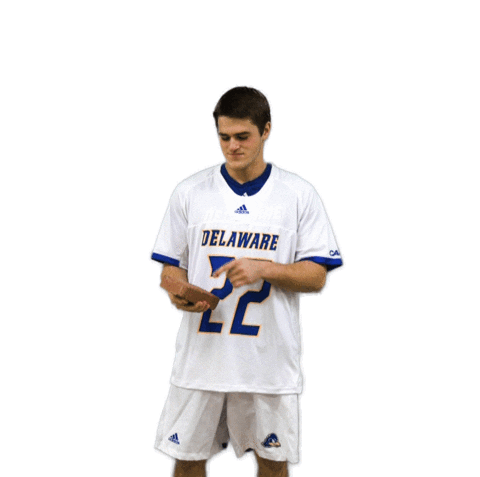 Lacrosse Bluehens Sticker by Delaware Blue Hens