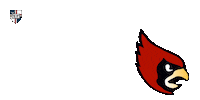 Class Of 2020 Cua Sticker by Catholic University of America