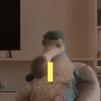 Fed Up Help GIF by Dodo Australia