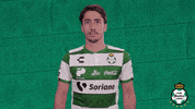 clubsantos  GIF