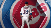 serious chicago cubs GIF by NBC Sports Chicago