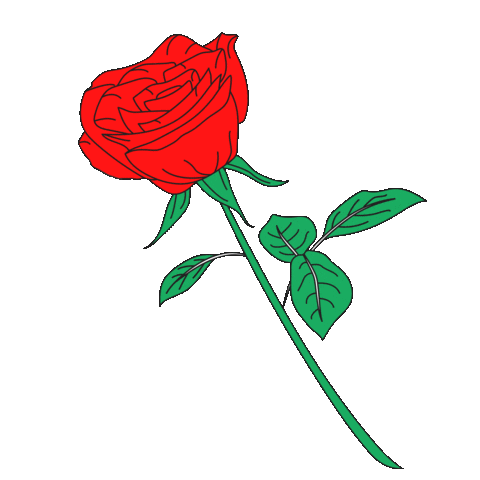 Red Rose Love Sticker by sarokey