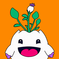 Happy Sad Yes GIF by Magic Eden