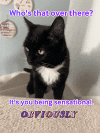 Whos That Motivation GIF