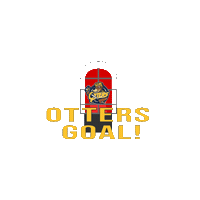 Erie Otters Goal Sticker by OttersHockey