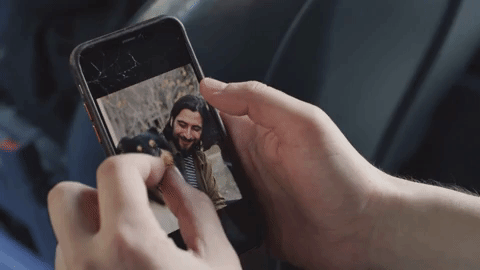 Dog Mess GIF by Noah Kahan