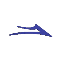 skate skateboarding Sticker by Lakai LTD