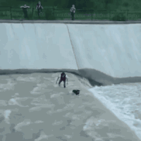 GIF by Demic