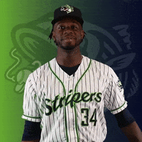 GoStripers lol laugh gwinnett stripers GIF