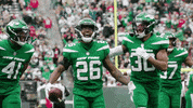 Football Nfl GIF by New York Jets