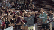 LafayetteLeopards wave fans lafayette leopards GIF