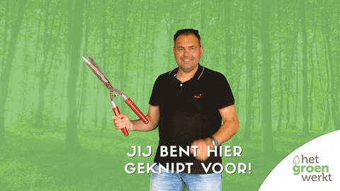 Boom Plant GIF by Het Groen Werkt