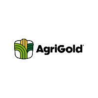 Corn Seed Sticker by AgriGold
