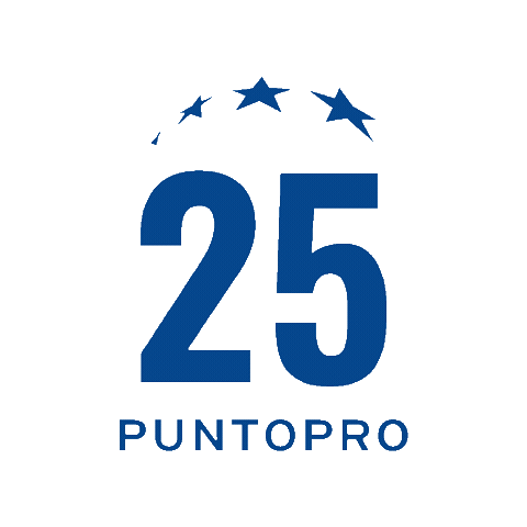 PuntoPRO giphygifmaker 25 puntopro puntoproautoservice Sticker