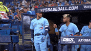 Major League Baseball Sport GIF by MLB