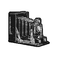 Black And White Film Sticker by The Wild Curiosity