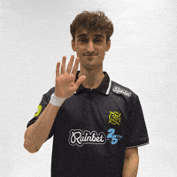 Wave Hello GIF by Ninjas In Pyjamas