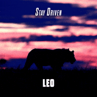 Stay Driven Leo
