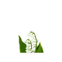 Happy True North Sticker by Caroline Spence