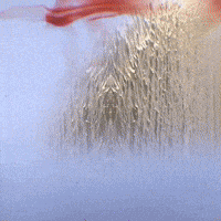 Art Loop GIF by John Fogarty